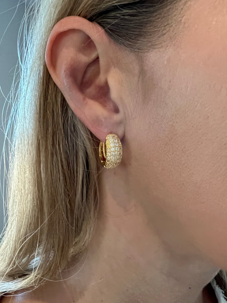 Cubic Zirconia Encrusted Hoop Earrings